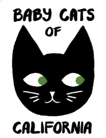 Baby Cats of CA Gift Card!